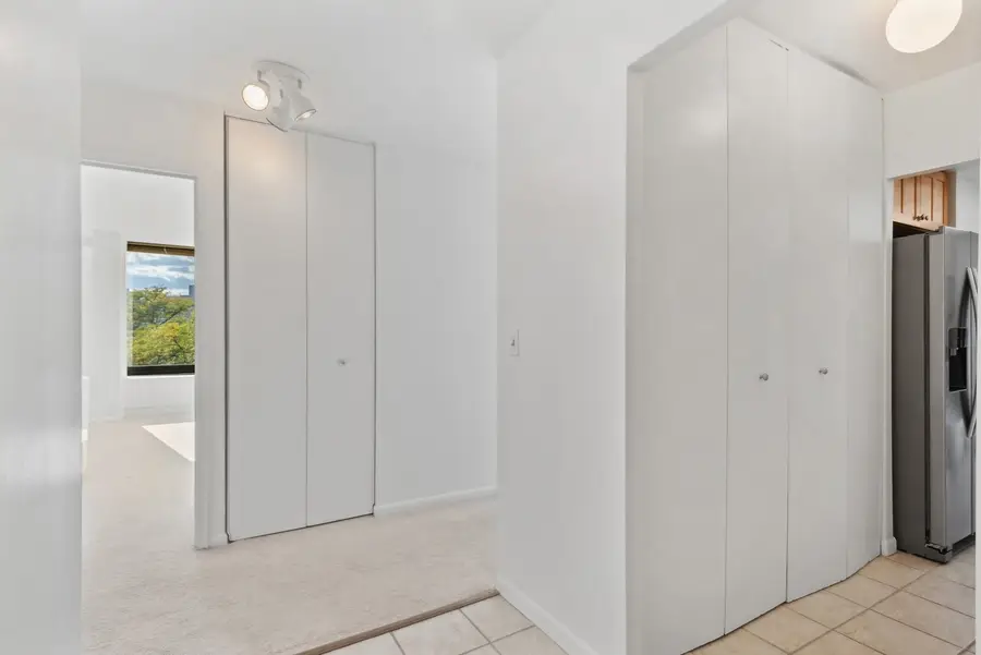 155 N Harbor Drive #403, Chicago, IL 60601 - Image #2