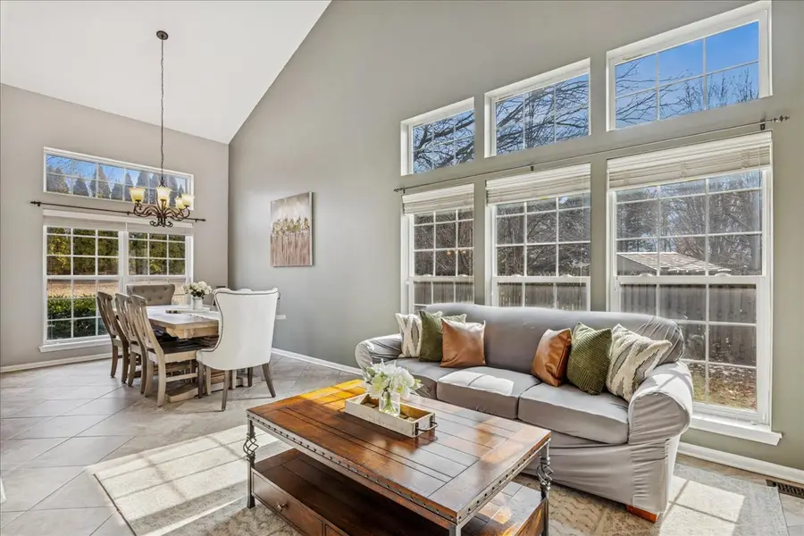 6 Morningside Court, Lake In The Hills, IL 60156 - #3