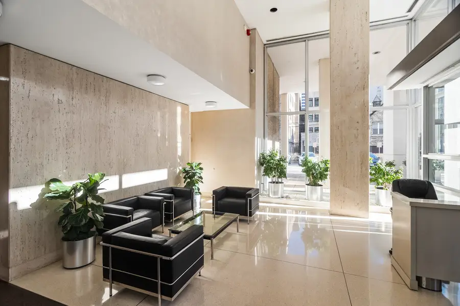 70 W Burton Place #704F, Chicago, IL 60610 - #2