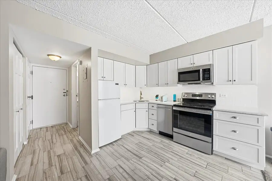 255 S West Avenue S #413, Elmhurst, IL 60126 - Image #2