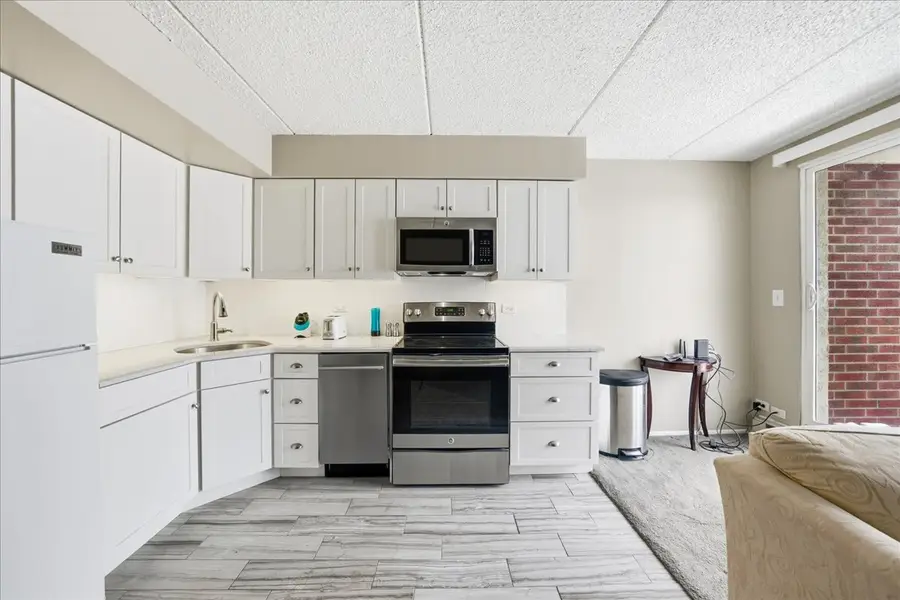 255 S West Avenue S #413, Elmhurst, IL 60126 - Image #3