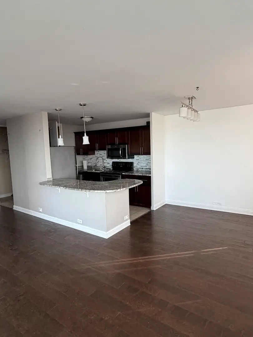 4800 S Chicago Beach Drive #2206S, Chicago, IL 60615 - Image #3