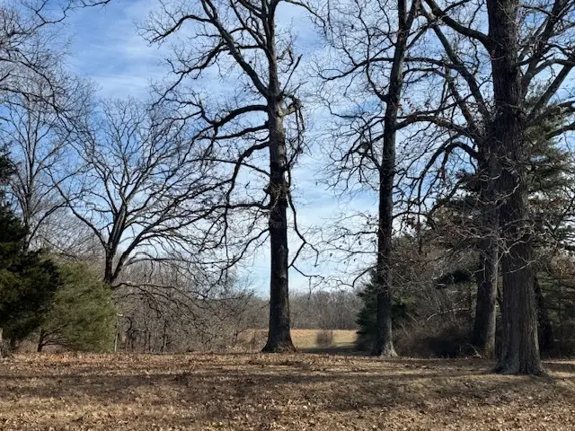 0000 N Harmony Lane, Mount Vernon, IL 62864 - Image #1