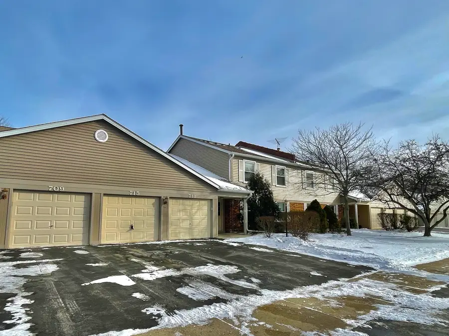 715 N Deer Run Drive #715, Palatine, IL 60067 - Image #2