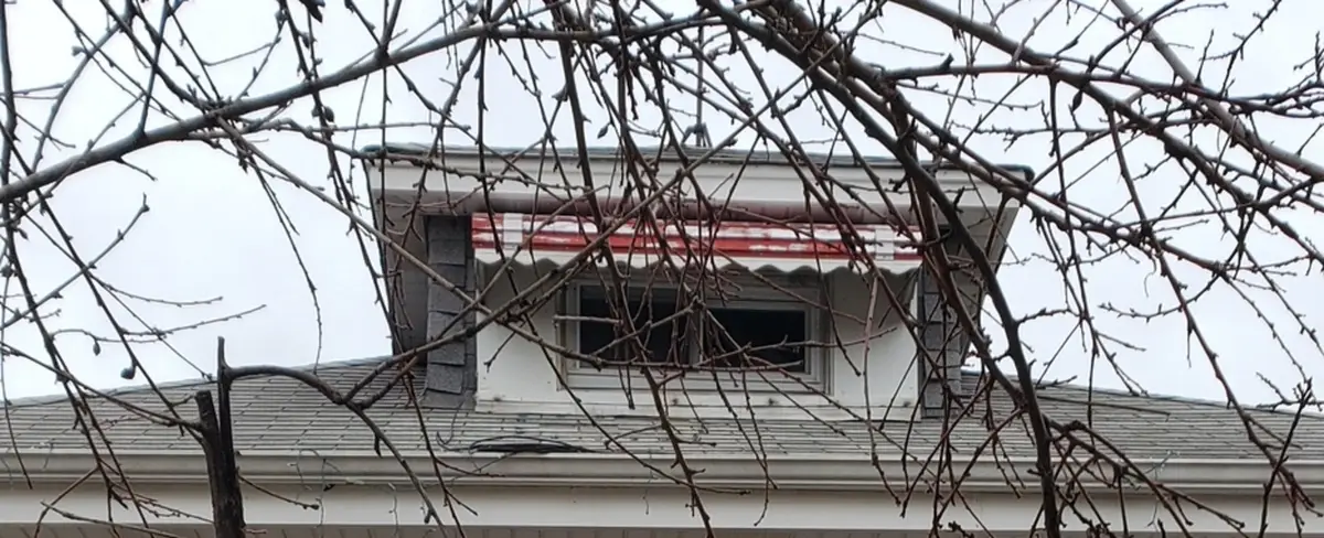 5709 S Mozart Street, Chicago, IL 60629 - #1