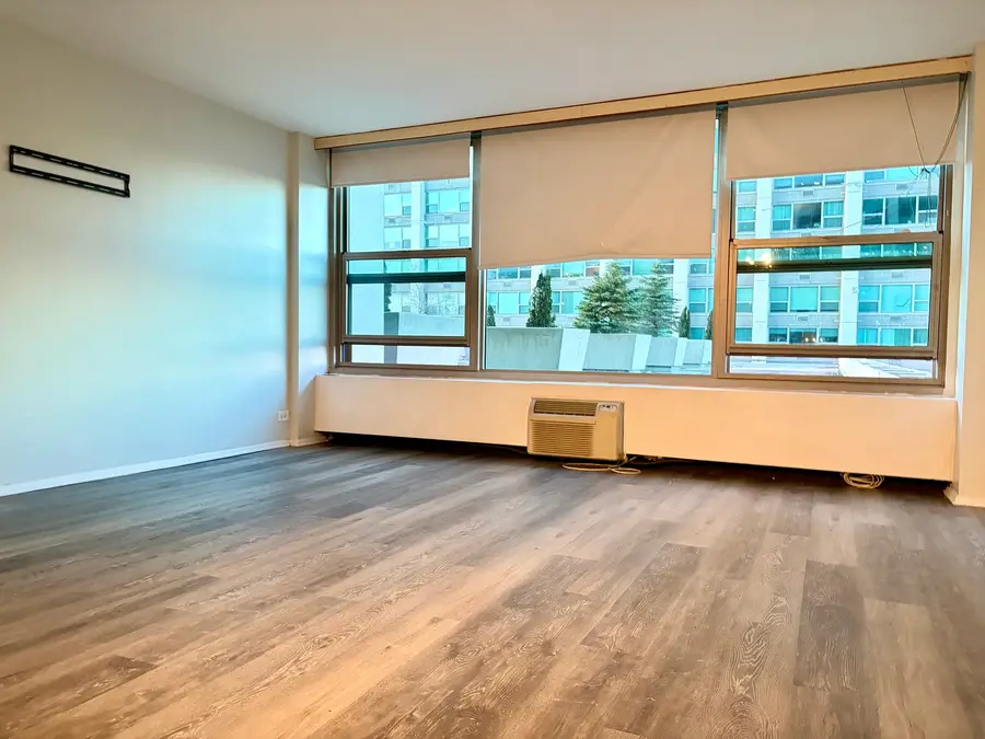 3600 N Lake Shore Drive #306, Chicago, IL 60613 - Image #3