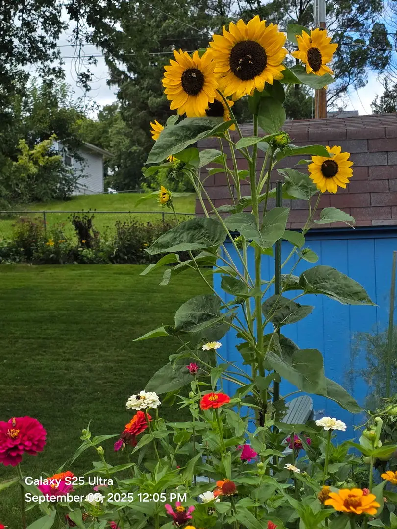 8114 9th Street W, Rock Island, IL 61201 - #2