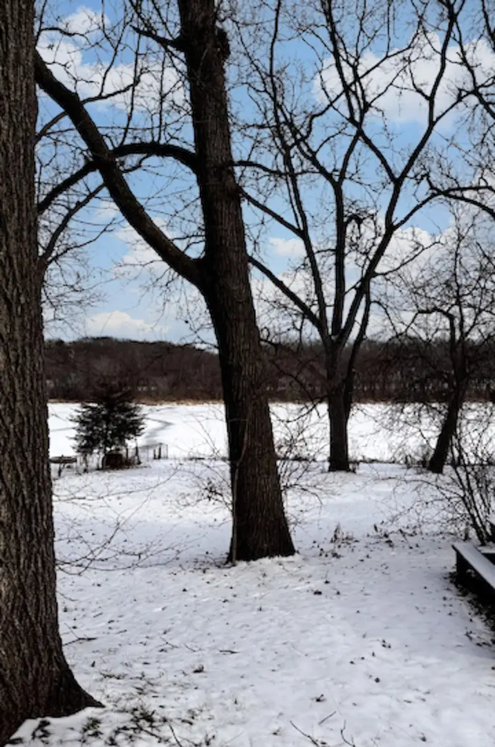 551 N 1st Street, Geneva, IL 60134 - Image #3