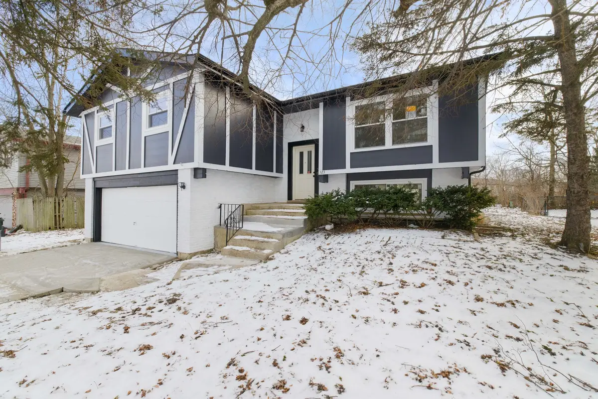 523 Nathan Road, University Park, IL 60484 - Image #1