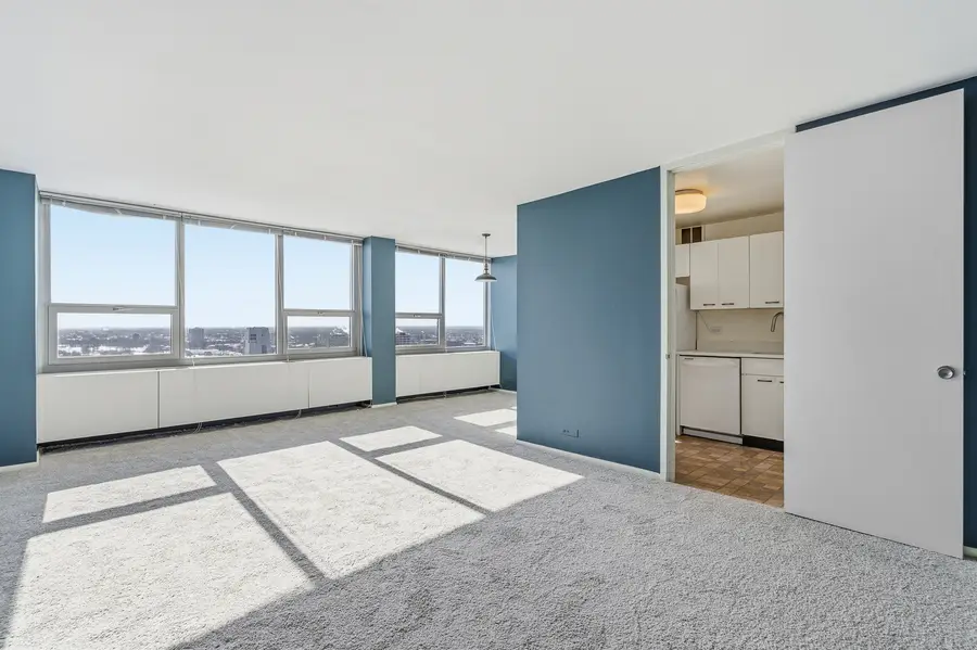 1700 E 56th Street #2710, Chicago, IL 60637 - Image #3