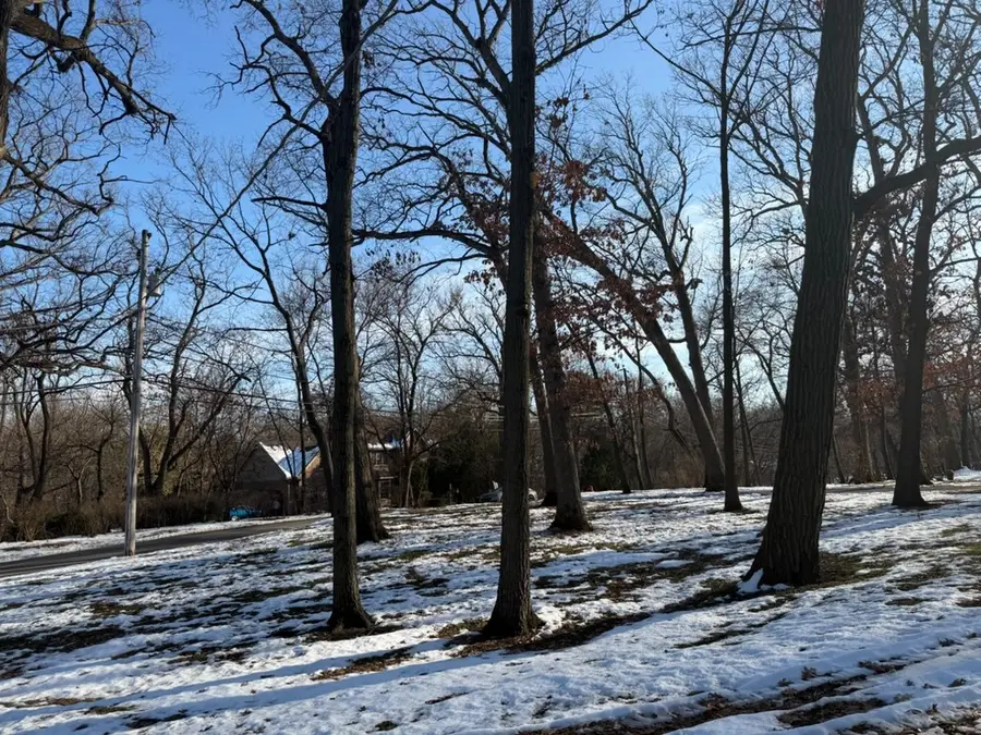 12316 S 82nd Avenue, Palos Park, IL 60464 - Image #2