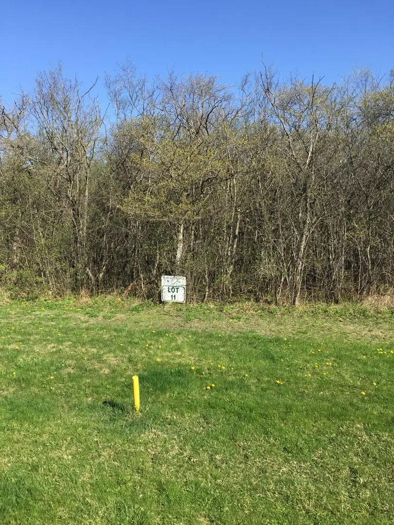 2 Alexandra Drive, Mettawa, IL 60048 - Image #2