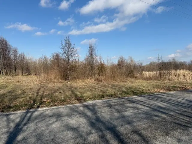 000 Lavern Road, De Soto Township, IL 62924 - Image #1