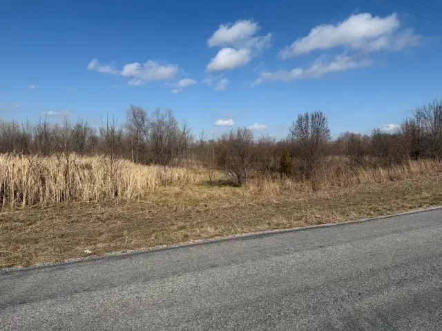 000 Lavern Road, De Soto Township, IL 62924 - Image #2