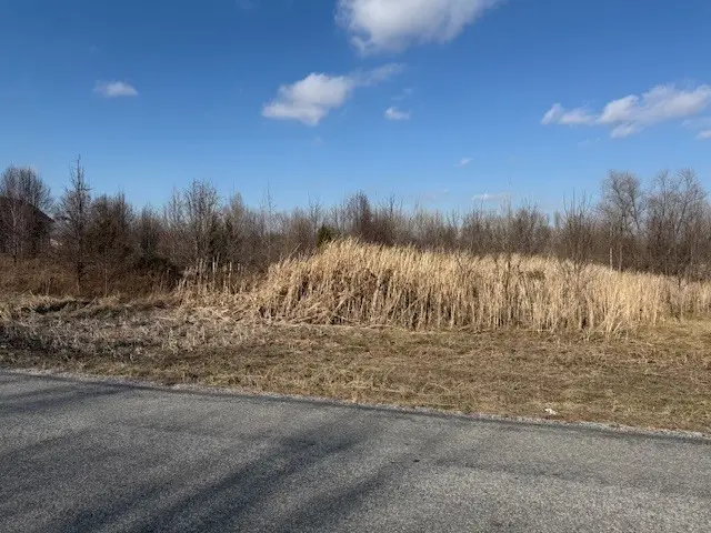 000 Lavern Road, De Soto Township, IL 62924 - Image #3