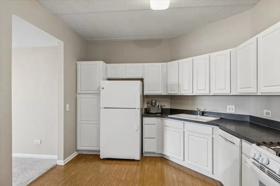 3100 Town Square Drive #308, Rolling Meadows, IL 60008 - Image #3