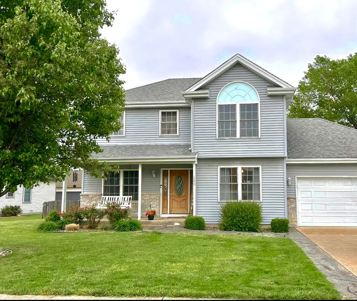 230 E Big Timber Drive, Coal City, IL 60416 - #1