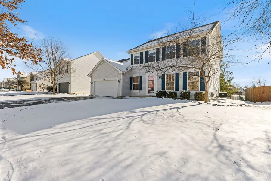 7407 Southworth Circle, Plainfield, IL 60586 - Image #2