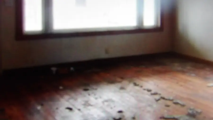 465 Tipple Road, Carrier Mills, IL 62917 - #2