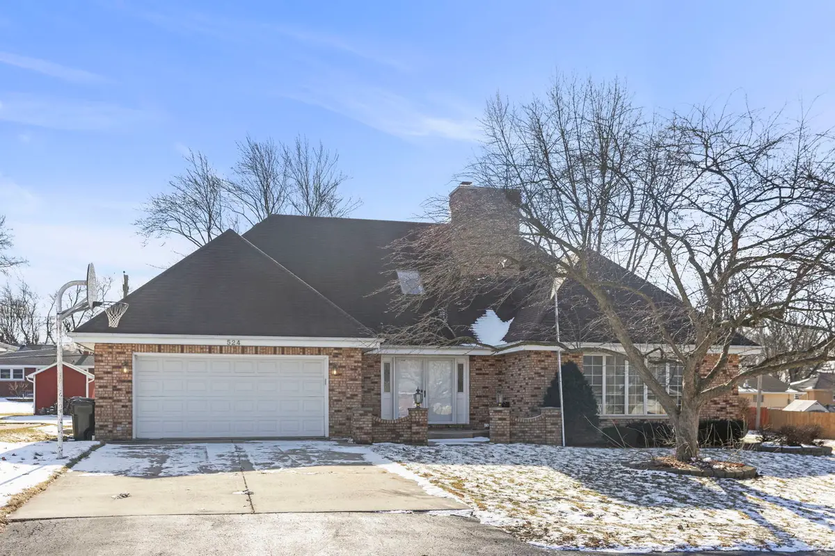 524 Meadow Lane, Beecher, IL 60401 - #1