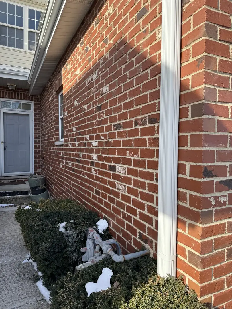 505 Goodwin Drive, Bolingbrook, IL 60440 - Image #3