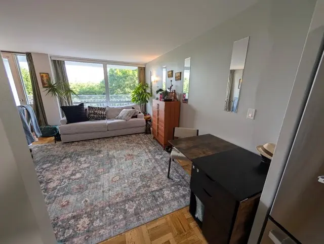 601 E 32 Street #503, Chicago, IL 60616 - Image #3