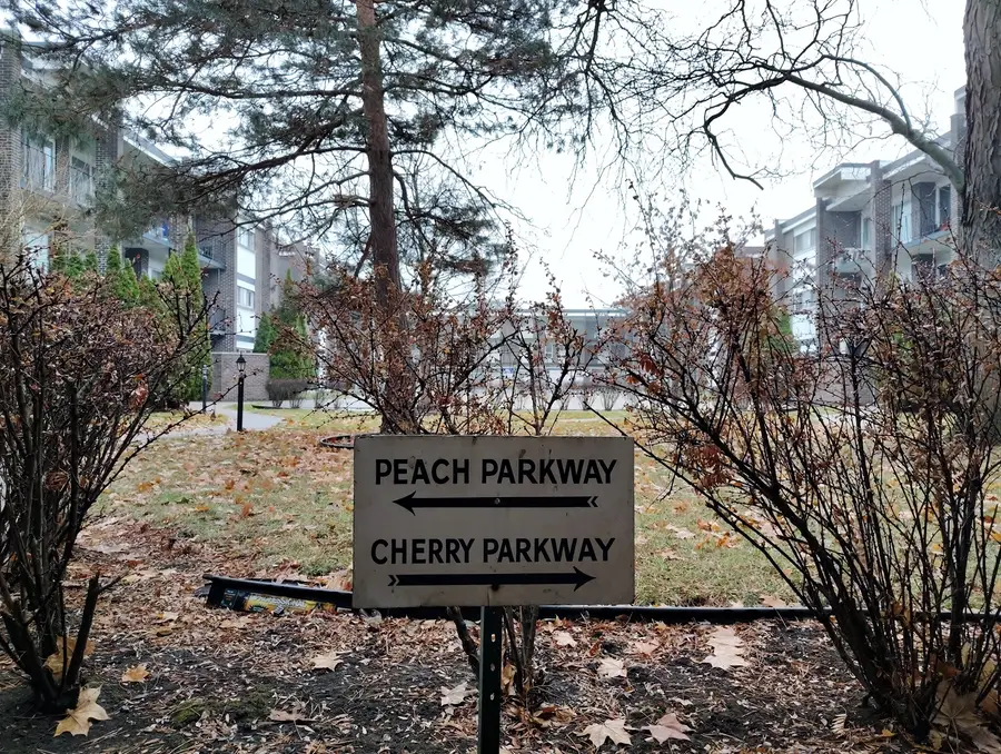 10116 Peach Parkway #N110, Skokie, IL 60076 - Image #3