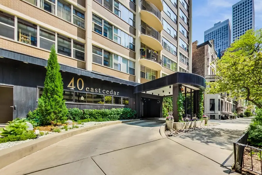 40 E Cedar Street #18B, Chicago, IL 60611 - Image #2