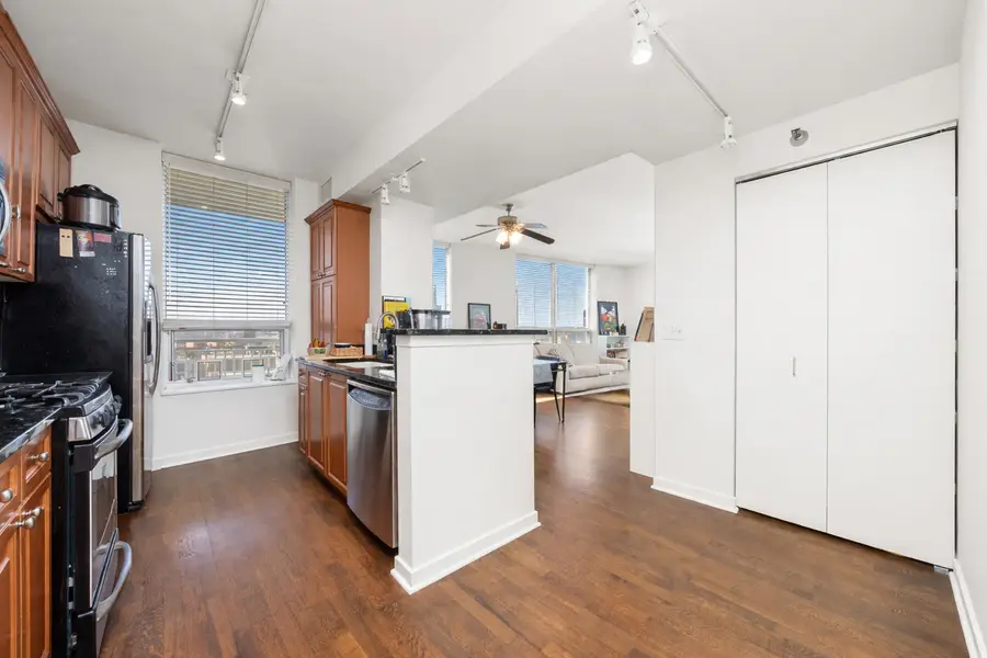 330 W Grand Avenue #1204, Chicago, IL 60654 - Image #2