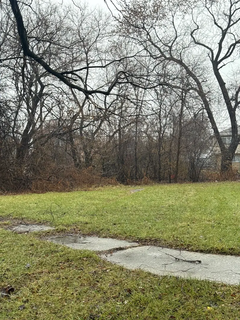 14423 Davis Avenue, Blue Island, IL 60406 - Image #1