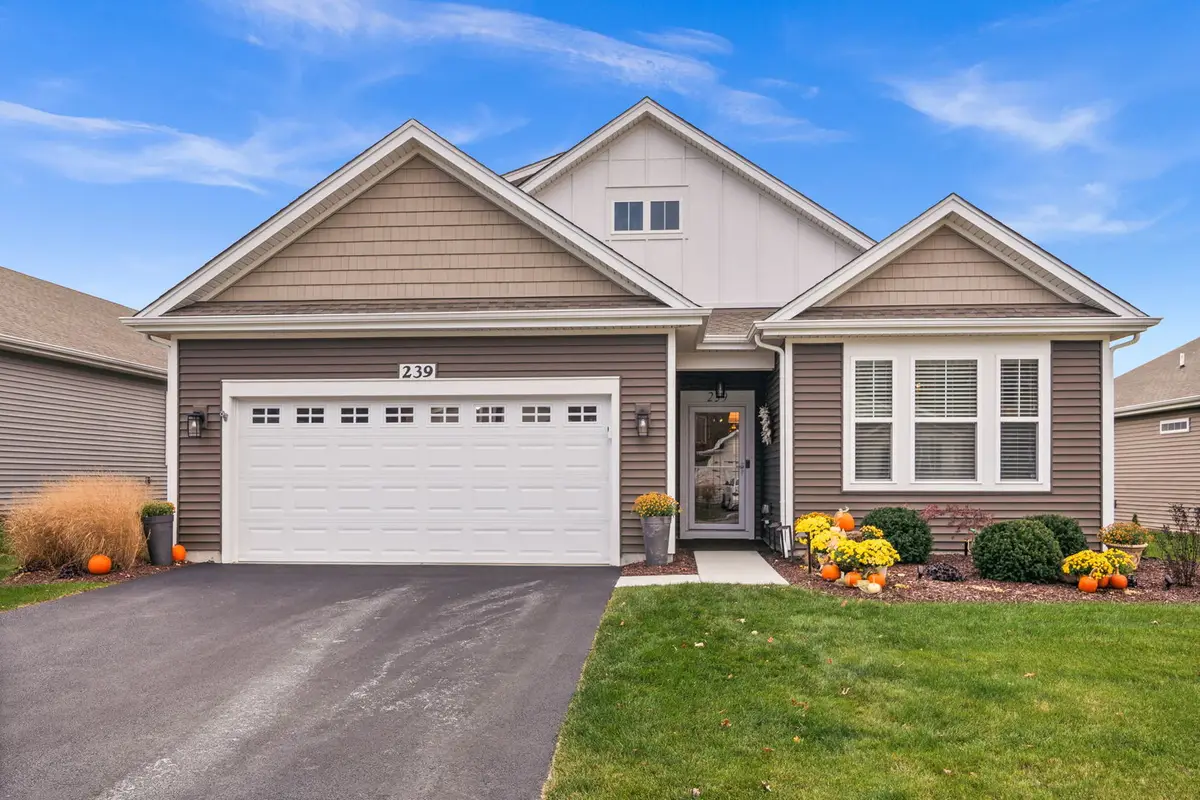 239 Durham Street, North Aurora, IL 60542 - #1