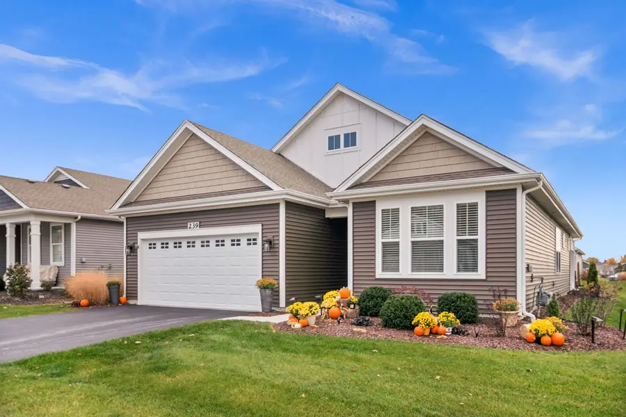 239 Durham Street, North Aurora, IL 60542 - #3