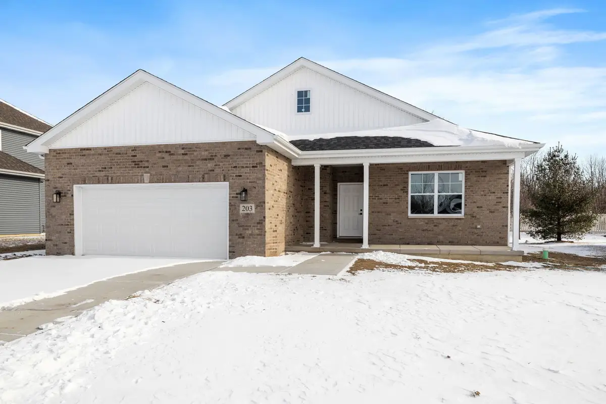 203 Hickory Street, Peotone, IL 60468 - Image #1