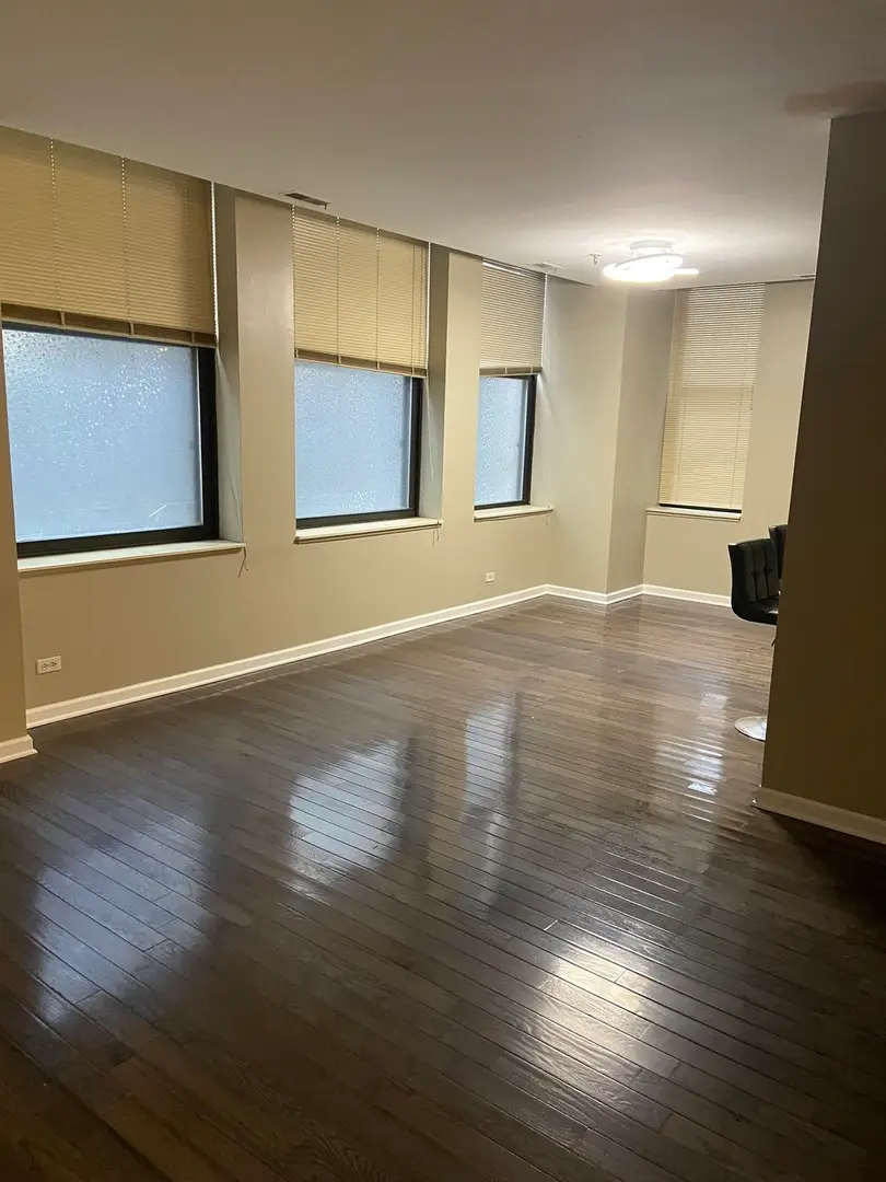 740 S Federal Street #404, Chicago, IL 60605 - Image #3
