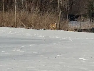 12720 Brighton Court, Mokena, IL 60448 - Image #2