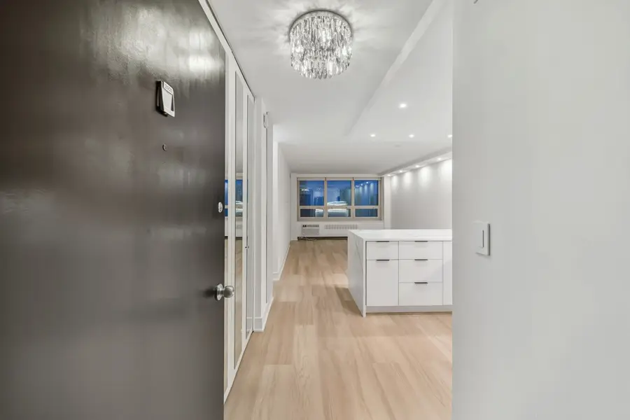 88 W Schiller Street #2503, Chicago, IL 60610 - Image #2