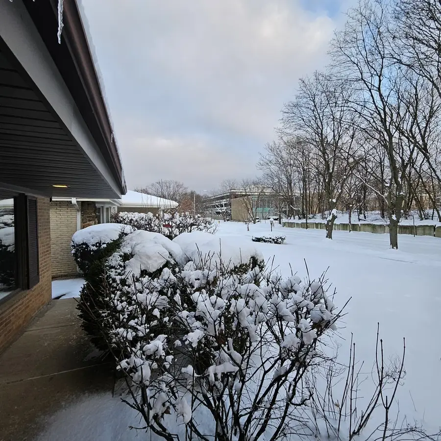 1406 Peterson Avenue, Park Ridge, IL 60068 - #2