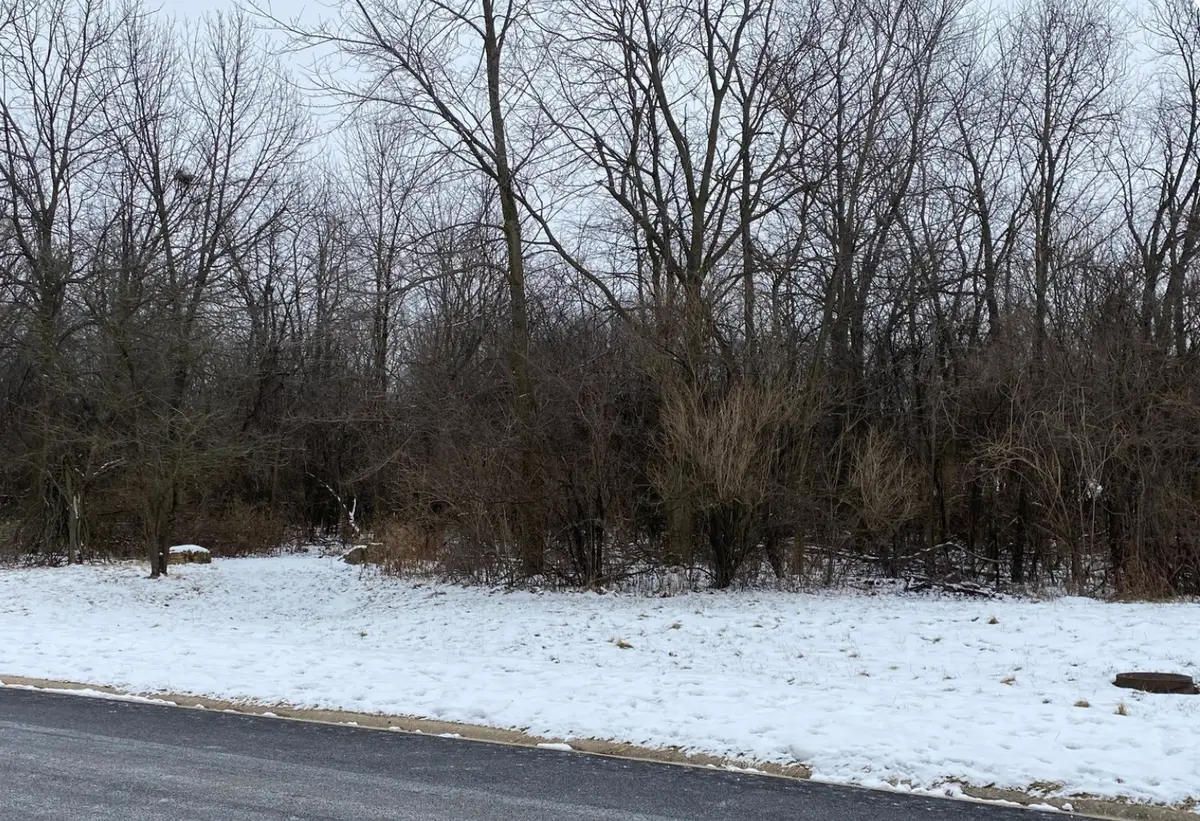 712 Wildwood Drive, Joliet, IL 60431 - #1