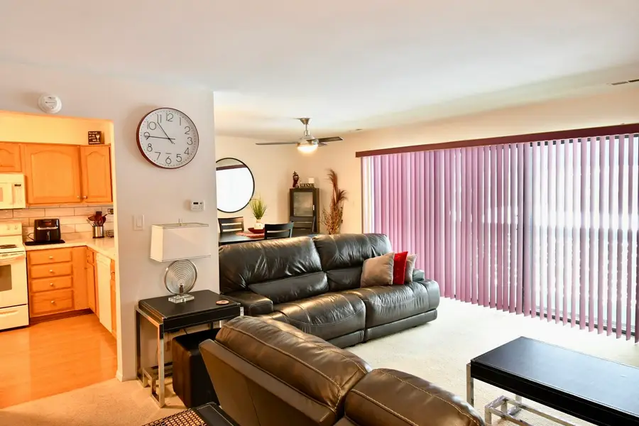 18424 Kedzie Avenue #2A, Homewood, IL 60430 - Image #3