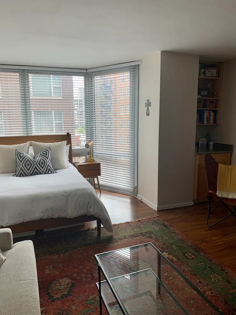 21 W Goethe Street #11E, Chicago, IL 60610 - #3