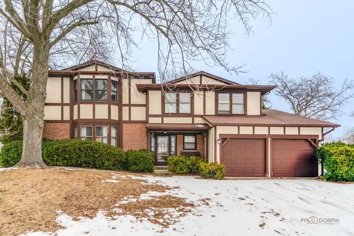 455 Chicory Lane, Buffalo Grove, IL 60089 - #1