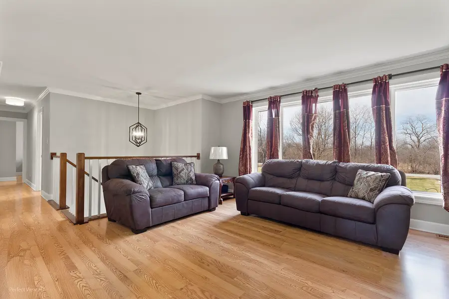 17248 110th Court, Orland Park, IL 60467 - #2