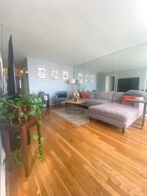 9254 S Parnell Avenue, Chicago, IL 60620 - #2