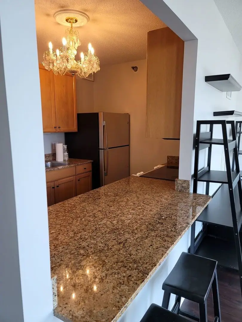 400 N La Salle Drive #1911, Chicago, IL 60654 - Image #3