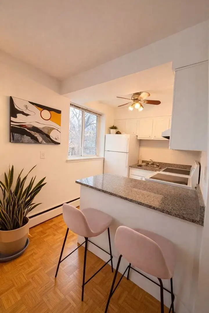 539 W Stratford Place #407, Chicago, IL 60657 - Image #3