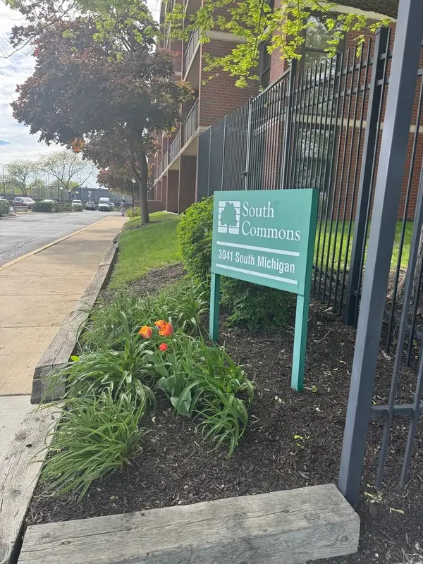 3041 S Michigan Avenue #106, Chicago, IL 60616