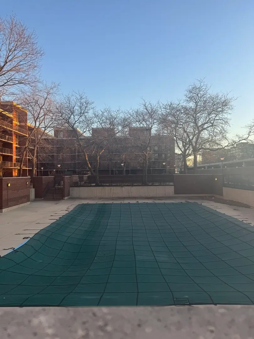 3041 S Michigan Avenue #106, Chicago, IL 60616 - #3