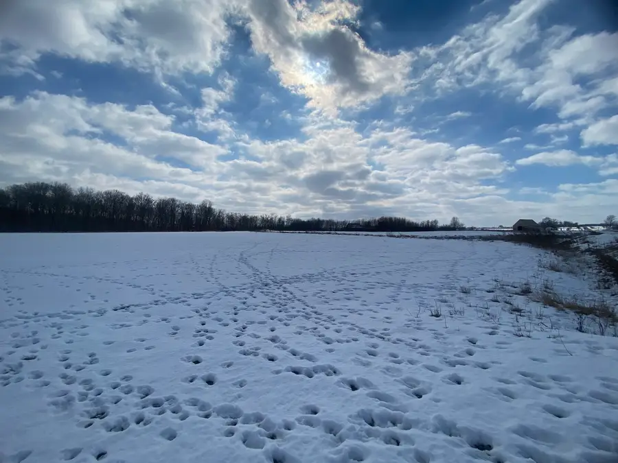 000 Highway 14 East Highway, Macedonia, IL 62860 - #2