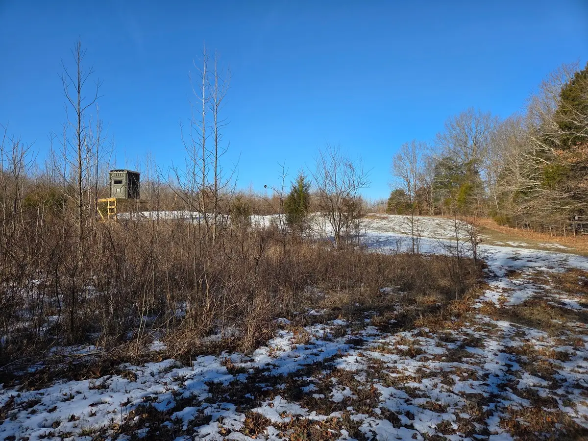 1395 Rock Springs Road, Simpson, IL 62985 - #1