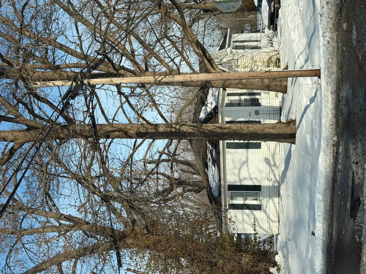 802 N Commercial Street, Benton, IL 62812 - #1